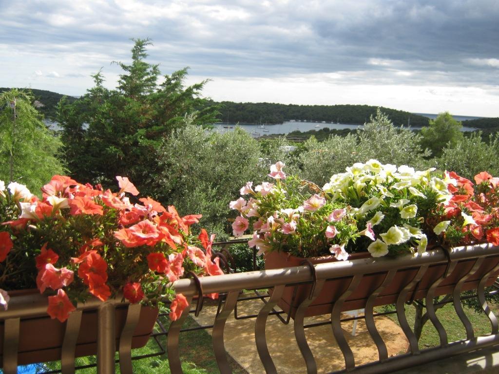 Villa Triton Vinkuran Exteriér fotografie